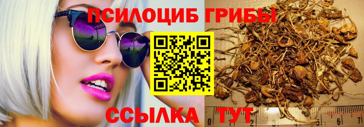 что такое наркотик  Галлюциногенные грибы Cubensis  Вход с VPN  Кирово-Чепецк 